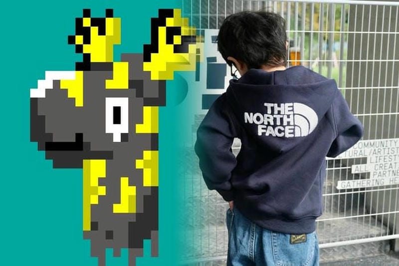 【2025年最新】三井アウトレットパーク入間ノースフェイス徹底攻略！安い？最大級？セール速報＆駐車場裏技ガイド – 失敗しない入間店選び