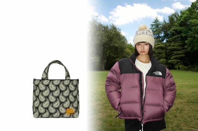 ノースフェイス ゴアテックス レディース ピンク徹底ガイド！プロが教える失敗しない選び方・長持ちするお手入れ術