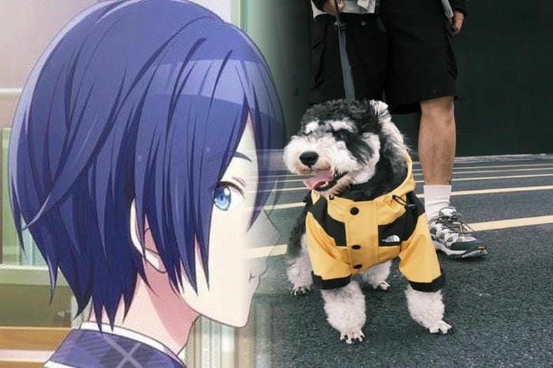 【The North Face × INVINCIBLE】 “THE EXPEDITION”が12月31日に発売予定