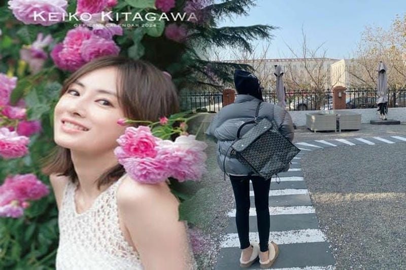 ノース フェイス 新潟