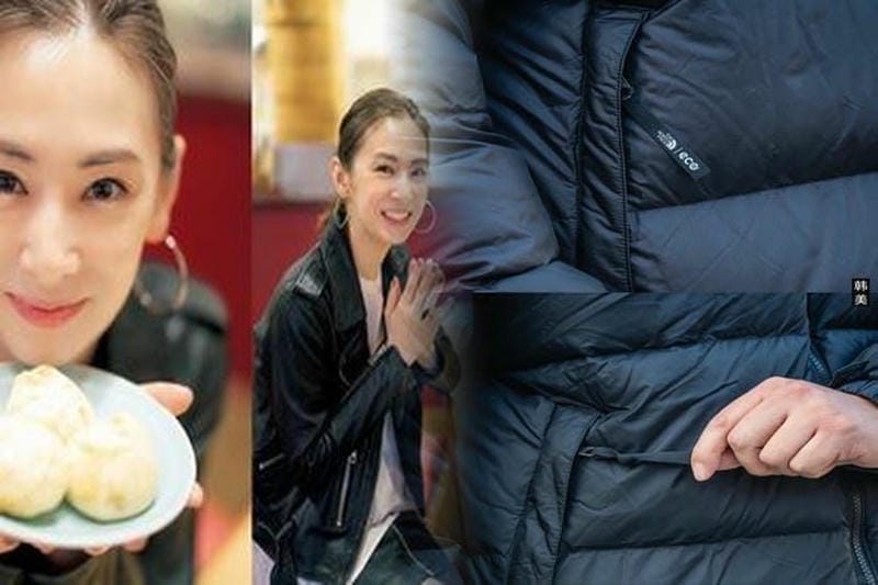 ノース フェイス ヒップ