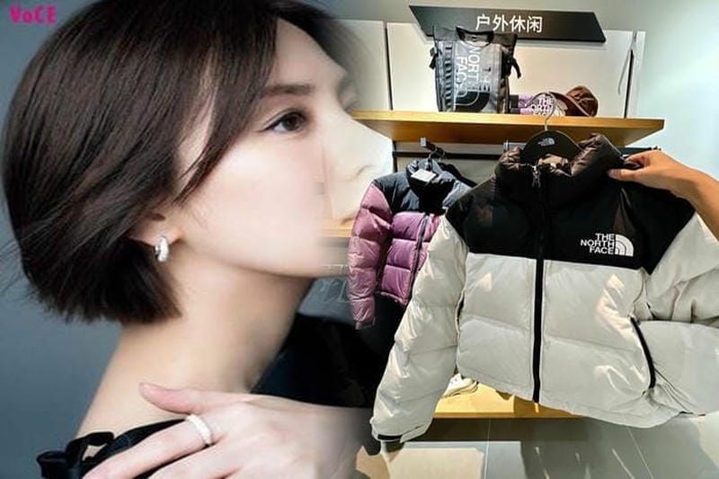 ノース フェイス 犬 服