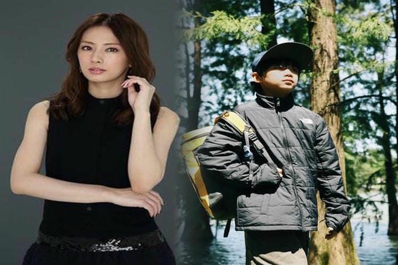 ノース フェイス 20l