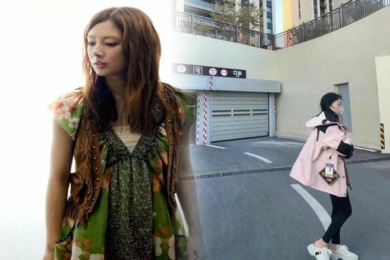 ノース フェイス ゴルフ