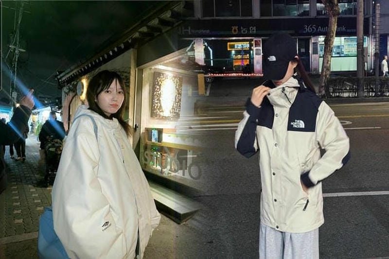 ザ ノース フェイス 韓国がなぜ人気？ホワイトレーベル全貌と日本比較・失敗しない購入術【完全ガイド】