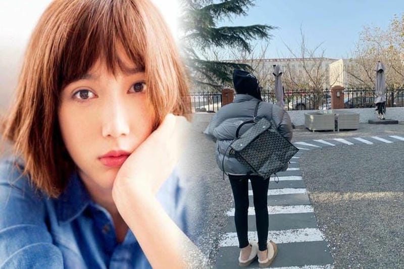 ノース フェイス ワッフル