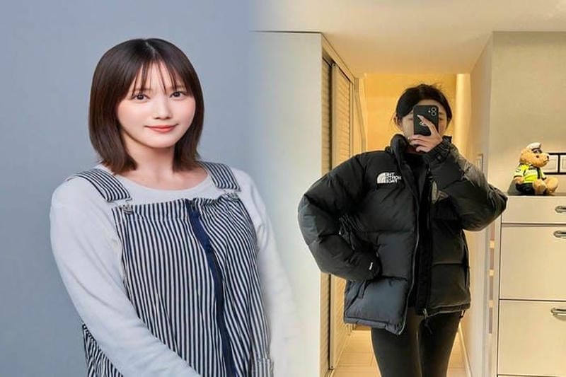 ノース フェイス 型番 ない