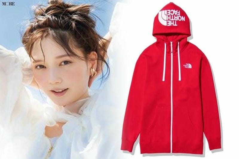 recco ノース フェイス