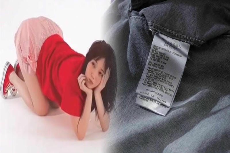 ノース フェイス 人気 なぜ