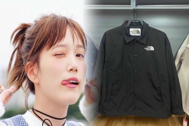 ノース フェイス ファスナー