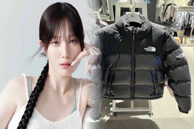 ザ ノース フェイス ヌプシ