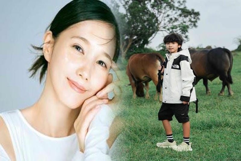 ノース フェイス 一 番 人気