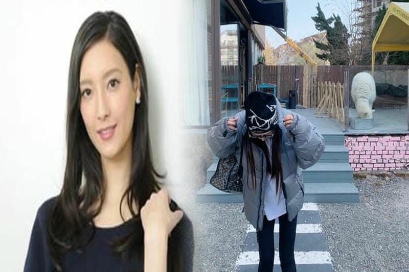 ノース フェイス バイト 20