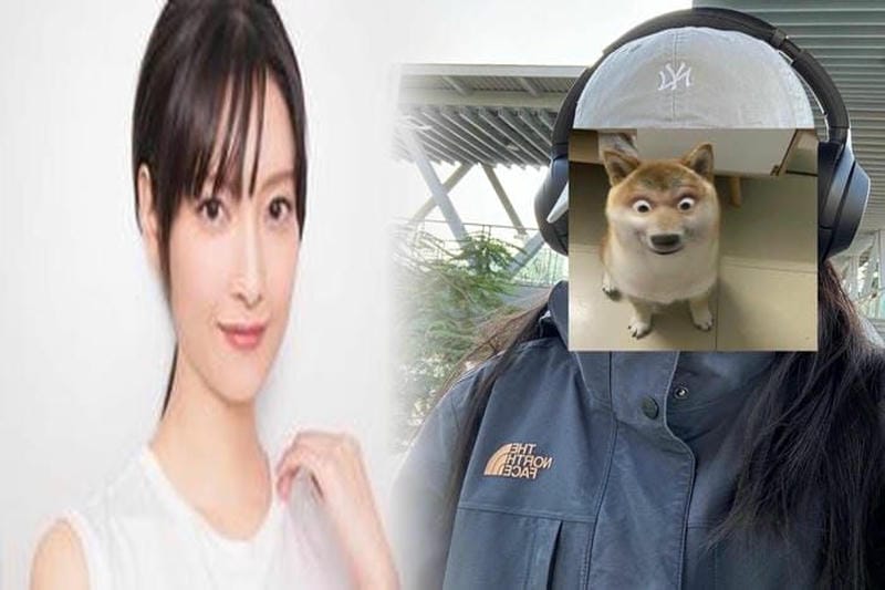 refalt ノース フェイス