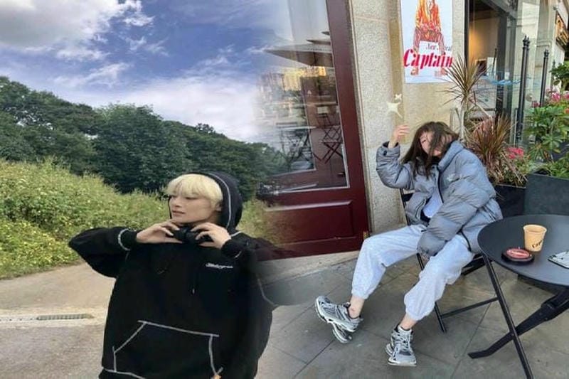 折り畳み 傘 ノース フェイス