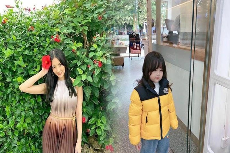 ノース フェイス 上下 セット