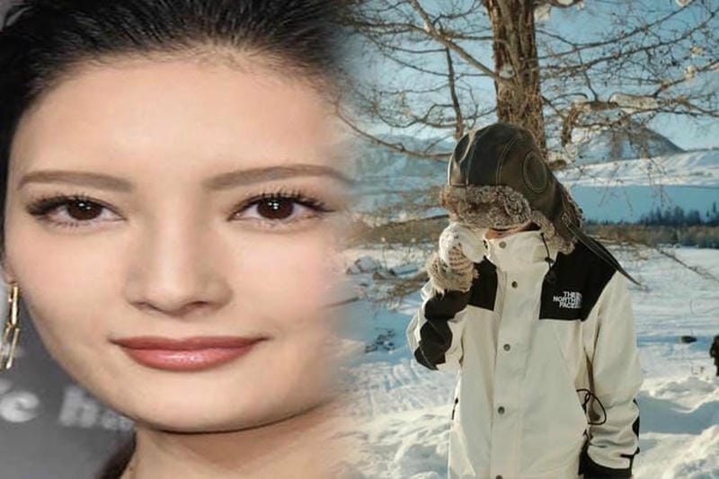 ノース フェイス 取扱 店 静岡