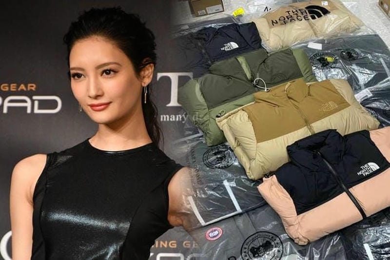 Louis Vuittonとノースフェイスの違いは？防寒性能を徹底比較