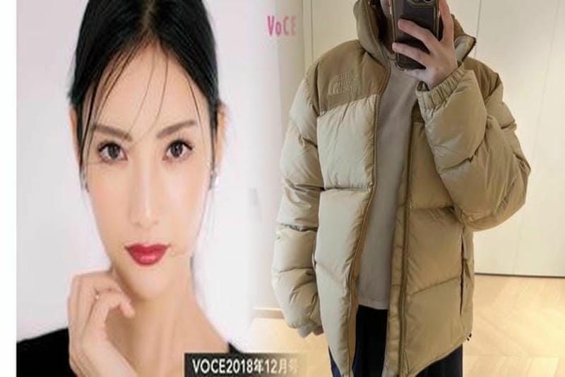 ノース フェイス インナー 付き