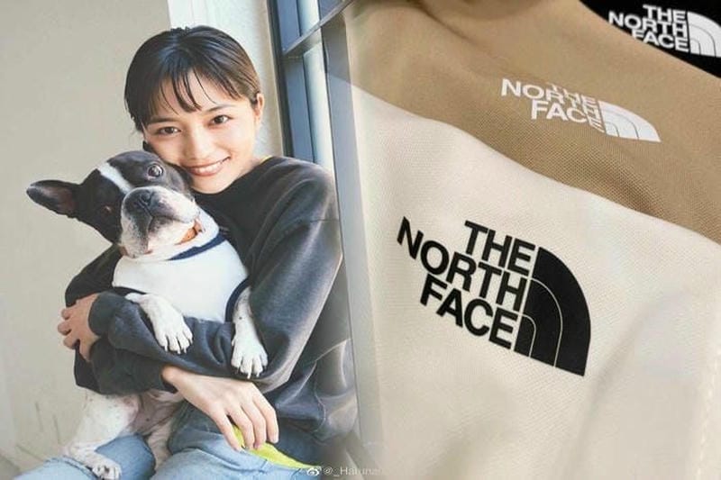 THE NORTH FACEマウンテンジャケット人気