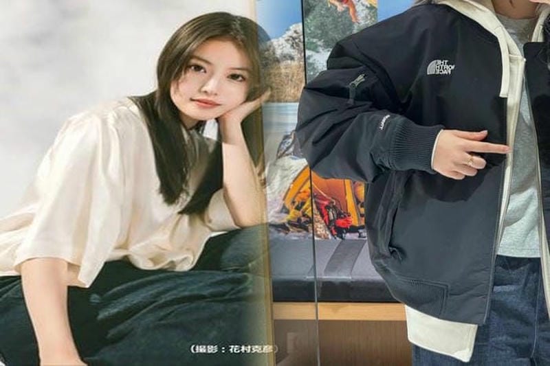 THE NORTH FACEショートダウンレディース
