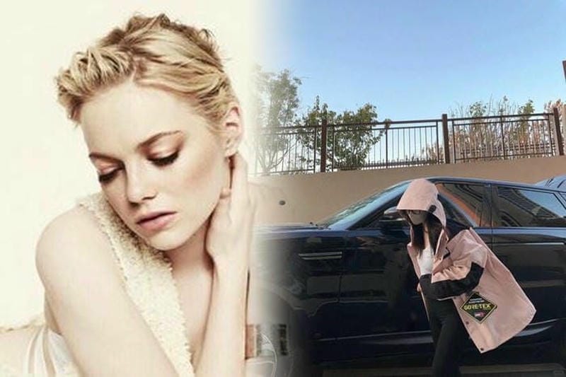 nm81817 ノース フェイス