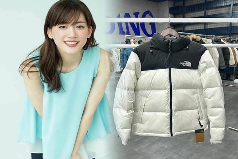 ノース フェイス カタログ 請求