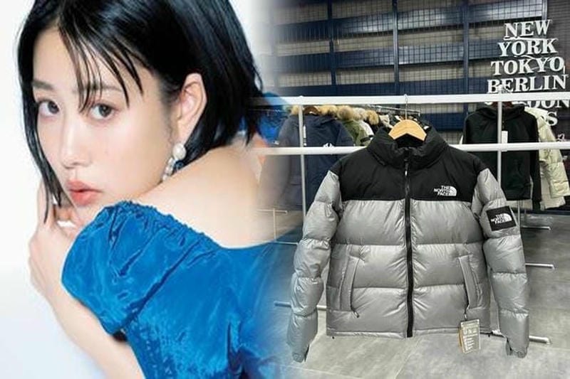 韓国 ノース フェイス バルトロ