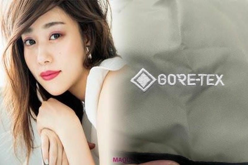 ノース フェイス マクマード 2