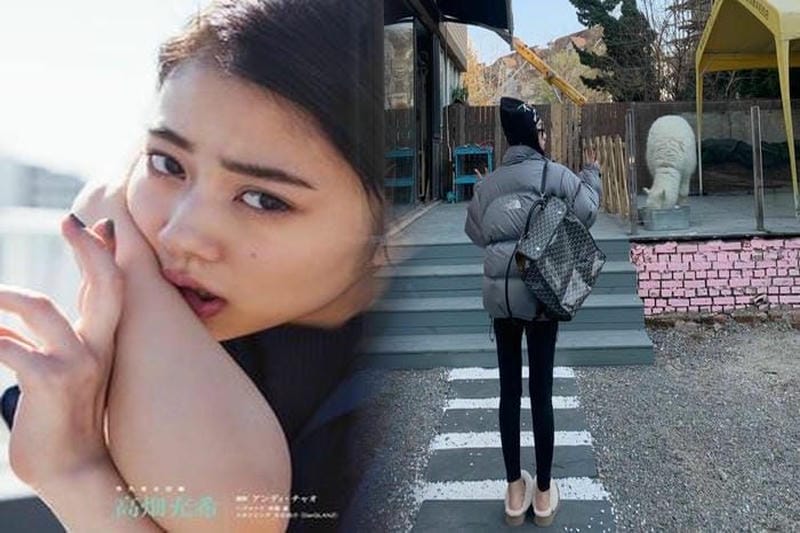 ノース フェイス 直営 店 東京