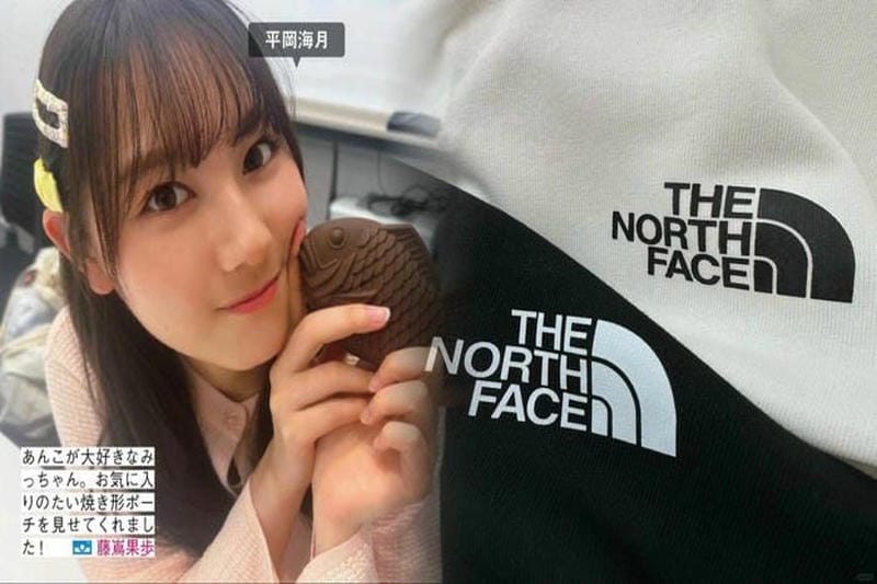 ノースフェイスダウンレディース韓国