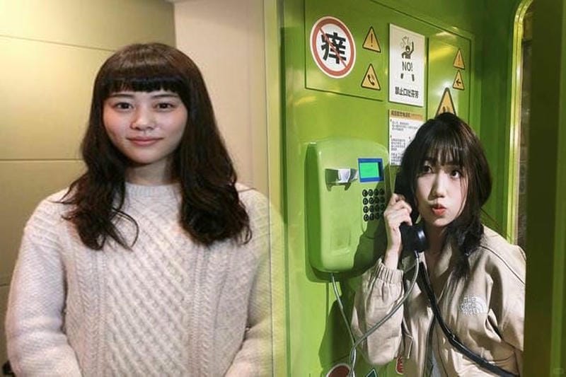 ノース フェイス np61800