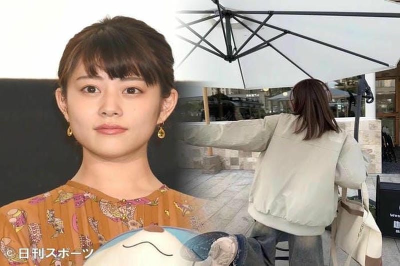 THE NORTH FACEマウンテンジャケット人気色