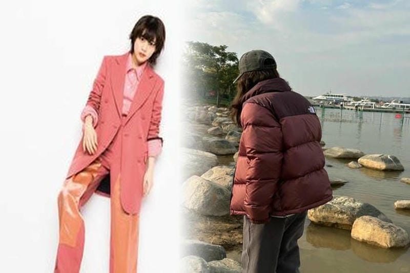 メッシュ ベスト ノース フェイス