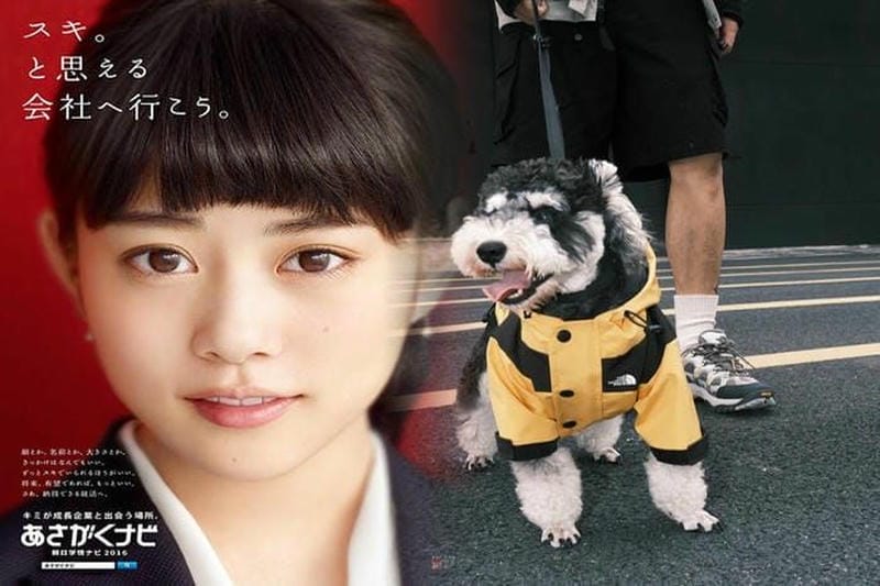 ゴアテックスパーカーで雨を防ぐ！ノースフェイスの機能性ジャケット特集