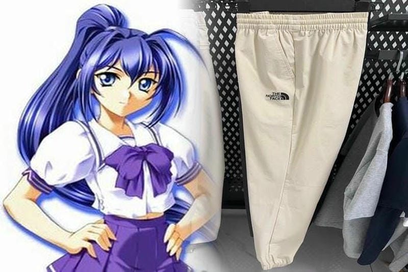 ノース フェイス 防水 レディース