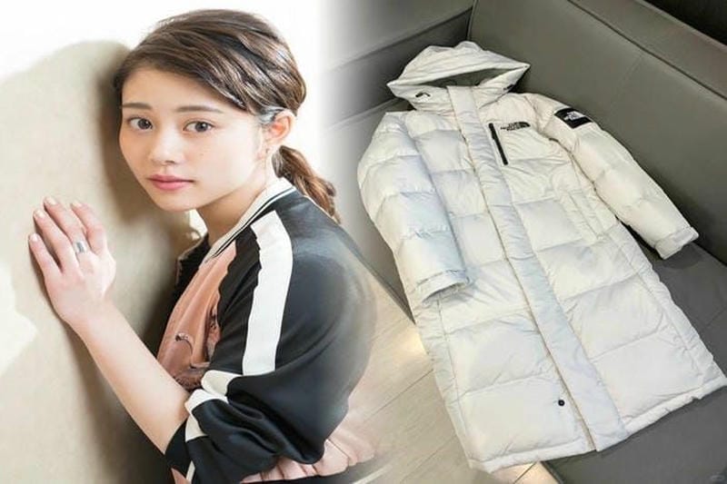 ノース フェイス リップス トップ