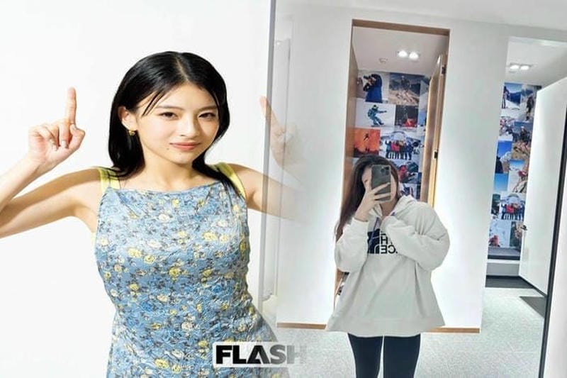 ノース フェイス チーク ブラウン