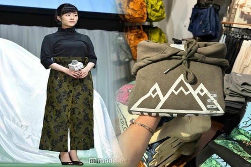 ノース フェイス サミット マーク