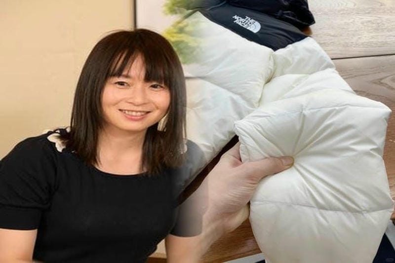 ノース フェイス カップ 2020