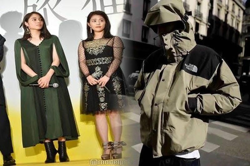 チーク ブラウン ノース フェイス