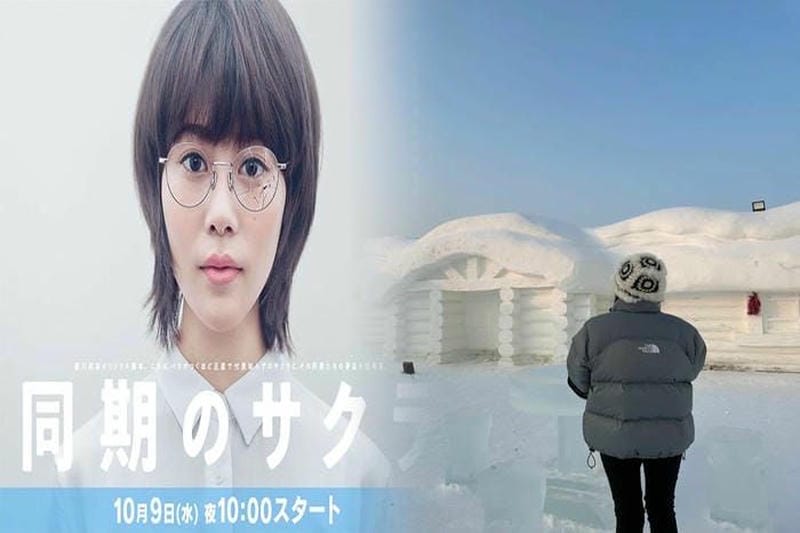 ららぽーと 三郷 ノース フェイス