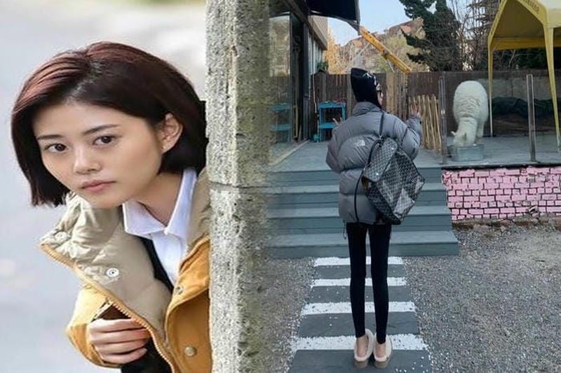 pf マーケット ノース フェイス