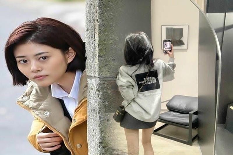 ブレイン デッド ノース フェイス