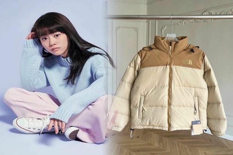 ノース フェイス rtg 2020