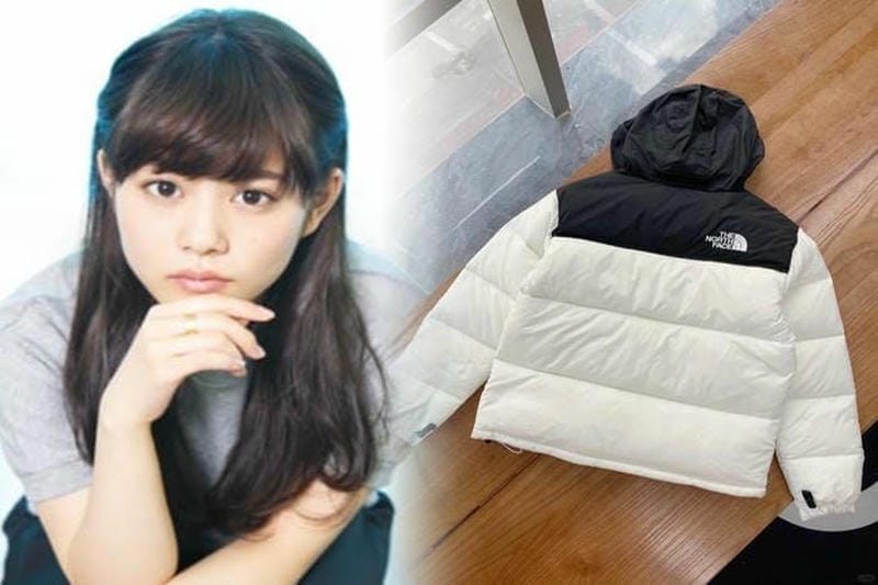 ノース フェイス 茶 タグ フード