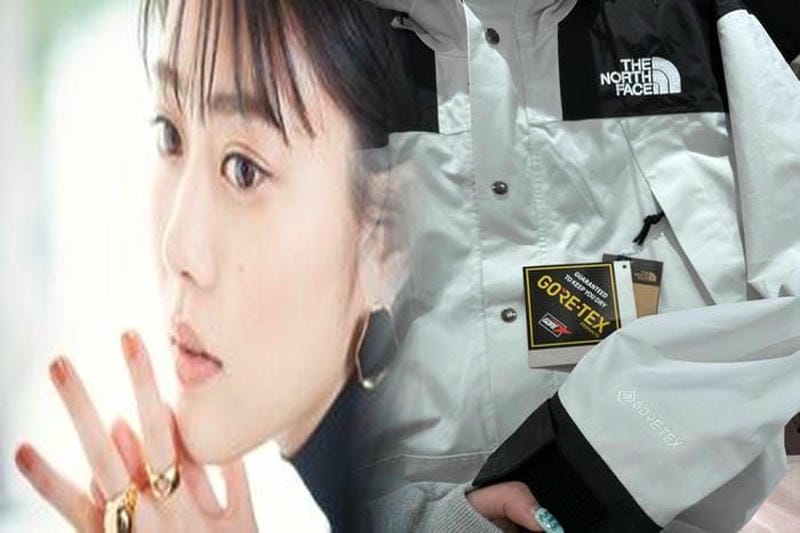 ノース フェイス ホログラム ない