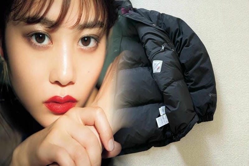 ノース フェイス vault 定価