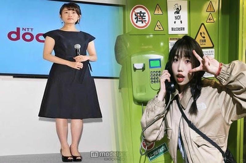 ノース フェイス nmw07102