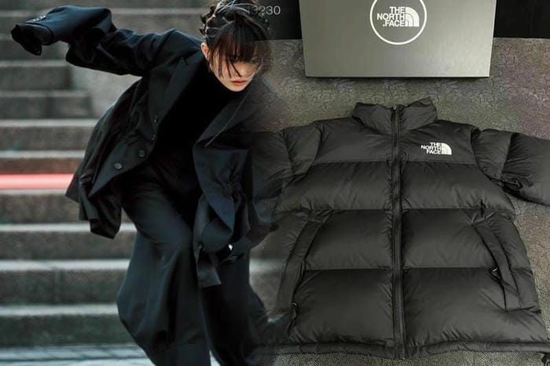 ノース フェイス ポーチ メッシュ